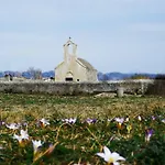 Panorama *
