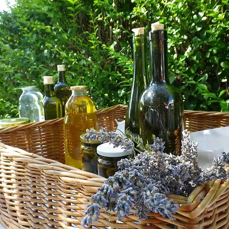 Appartement Panorama